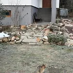 Appartement Prijdte Pobejt